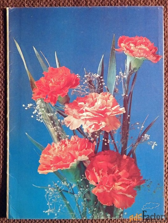 Телеграмма. Дергилев. Гвоздики. Цветы. 1993 год