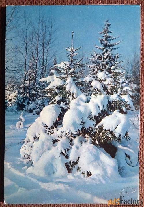 Двойная открытка. Примите наилучшие пожелания в Новом году. 1974 год