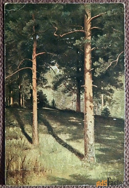 Антикварная открытка. Шишкин. Сосны освещенные солнцем. Изд. Гранберг
