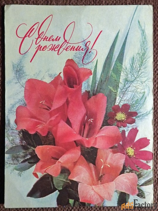 Открытка. Дергилев. С днем рождения. Гладиолусы. Цветы. 1977 год