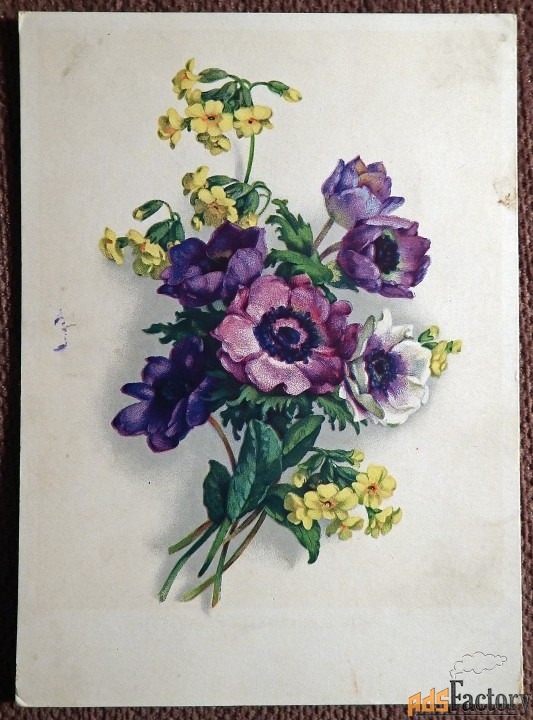 Открытка. Букет. Анемоны. Медуница. Цветы. Германия. 1950-е годы