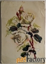 открытка розы. таллин. 1957 год