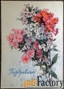 открытка. худ. аминов. 1965 год