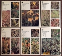 набор открыток «ваш приусадебный участок. лекарственные растения»