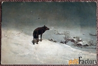 антикварная открытка. вируч-ковальский зимняя ночь в литве