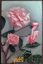 Антикварная открытка Розы