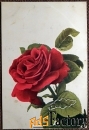 Антикварная открытка Роза. Т-во Голике и Вильборг. Петроград