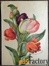 Открытка. Худ. Хвостенко Тюльпаны. 1956 год