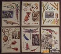 Набор открыток Заповедные животные и растения. 1983 год