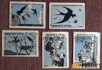 Спичечные этикетки Берегите птиц. 1959 год