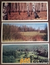Набор открыток Музей-усадьба Л.Н. Толстого Ясная поляна. 1976 год