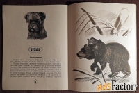 Книга. Л.Н. Толстой Лев и собачка. 1981 год