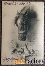 Антикварная открытка Лошадь и зайцы (кролики)