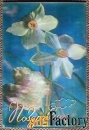 Стерео-открытка Поздравляю. Нарциссы, гвоздики. 1981 год