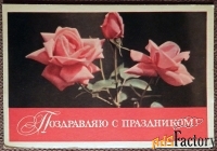 Открытка Поздравляю. Розы. 1968 год