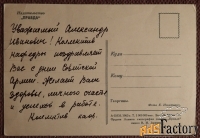 Открытка Георгины. 1963 год