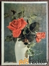 Открытка Розы. 1958 год