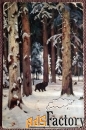 Антикварная открытка. Я. Бровар Еловый лес зимой. Ришар