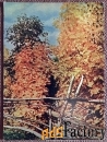 Открытка Золотая осень. 1958 год
