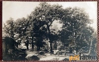 Антикварная открытка. Дюкер Дубовый лес