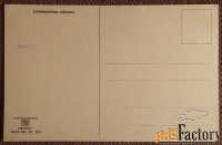 Антикварная открытка Эдельвейс (леонподиум) альпийский