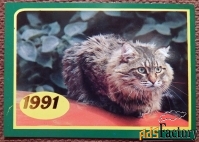 Карманный календарь. Кот. Кошка. 1991 год