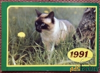 Карманный календарь. Кот. Кошка. 1991 год