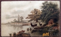 Антикварная открытка Олени на водопое