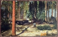 Антикварная открытка Лесной пейзаж