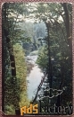 Антикварная открытка Лесной пейзаж