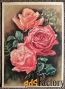 Открытка Красные розы. 1950-е годы