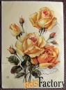 Открытка Розы желтые. 1950-е годы