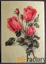 Открытка Розовые розы. 1950-е годы