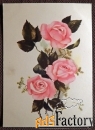 Открытка Розовые розы. Связьиздат. 1950-е годы