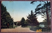 Антикварная открытка Хельсинки. Парк. Финляндия