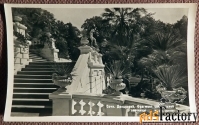 Открытка Сочи. Дендрарий. Фрагмент центральной лестницы. 1952 год