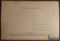 Открытка Котята с фотоаппаратом. 1957 год