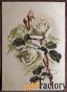 Открытка Белая роза. Филателия. 1957 год