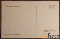 Открытка. Букет. Цветы. Поздравляю. 1977 год