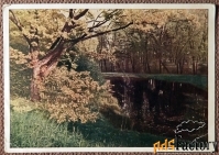 Открытка. Псковская обл. С. Михайловское. Пруд. 1949 год