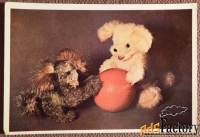 Открытка. Малыши. Собаки. Щенята. Игрушки. 1966 год