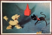 Открытка. Кот и пудель. Игрушки. 1966 год