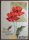 Открытка. Худ. Круглов. 1968 год