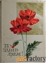 Открытка. Худ. Круглов. 1968 год