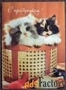 Открытка. С праздником. Котята. 1990-е годы