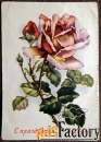 Открытка. Роза. Цветы. 8 Марта. Таллин. 1956 год