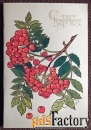 Двойная открытка. Худ. Жукова. 1987 год