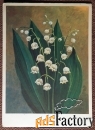 Открытка. Худ. Ряховский. Ландыши. 1976 год