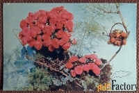 Открытка. Цветочная композиция. Розы. Клубника. 1970 год