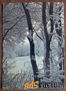 Открытка. Зимы узоры. Пейзаж. 1986 год